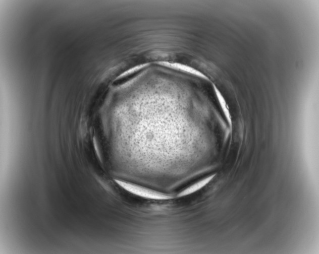 X0000085800560200704091451