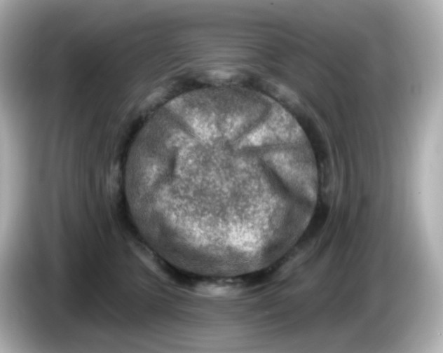 X0000085800563200704091451