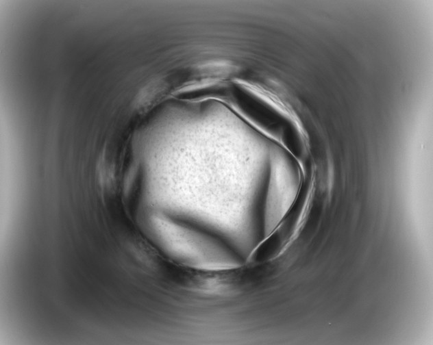 X0000085800564200704091451