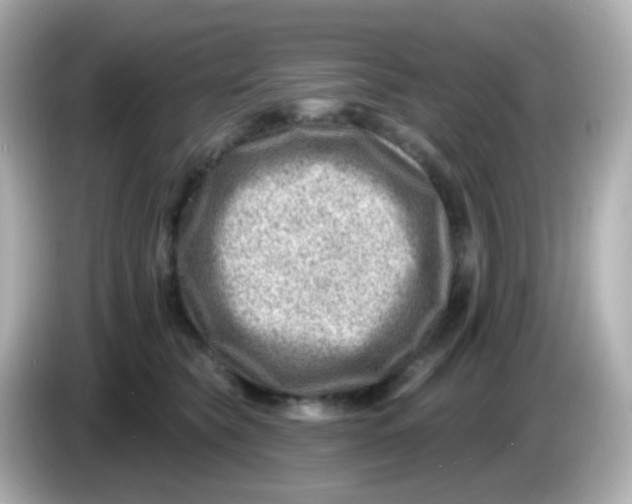 X0000085800565200704091451