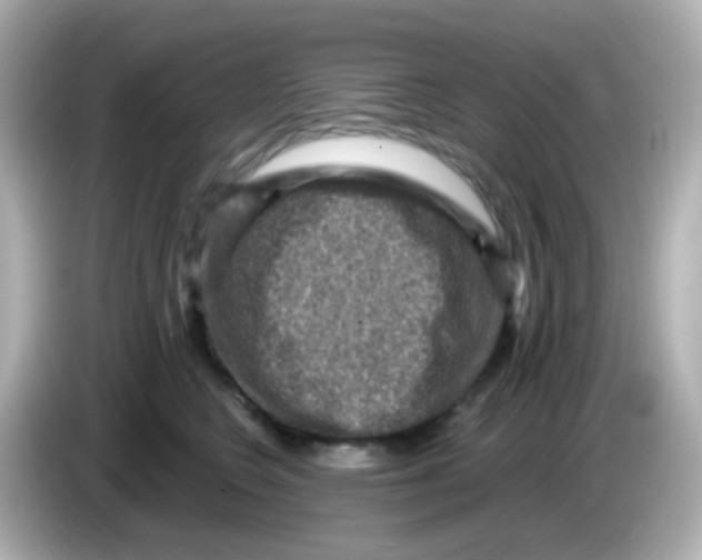 X0000085800566200704091451