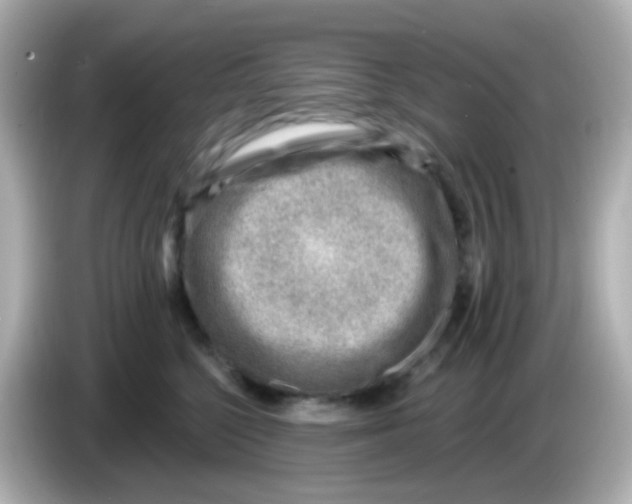 X0000085800568200704091451