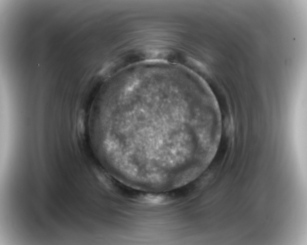 X0000085800570200704091451