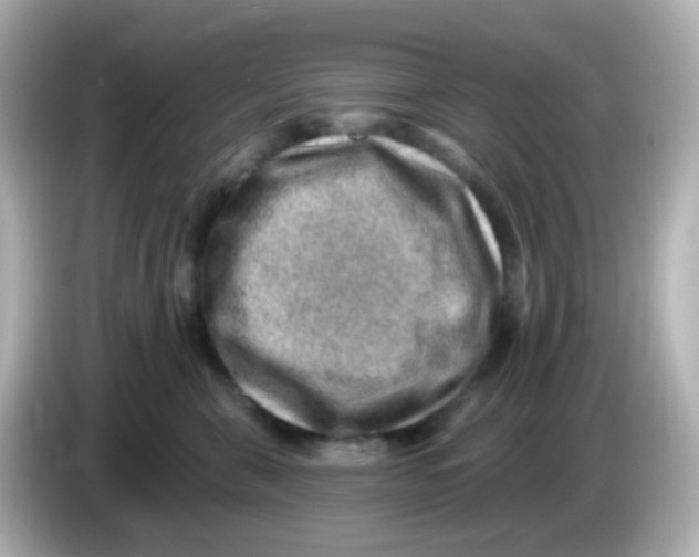 X0000085800571200704091451