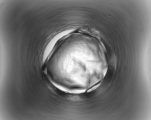 X0000085800572200704091451