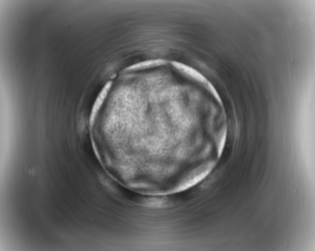 X0000085800574200704091451