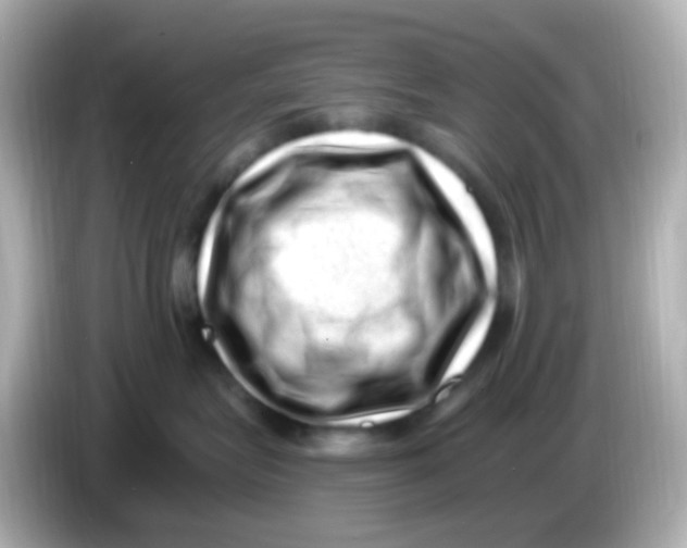 X0000085800575200704091451