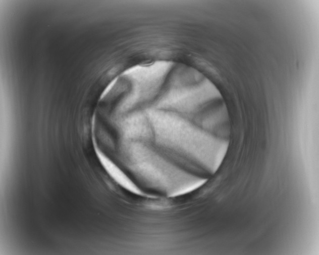 X0000085800576200704091451