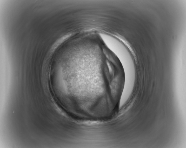 X0000085800577200704091450