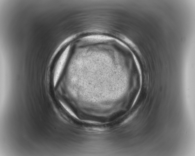 X0000085800580200704091450