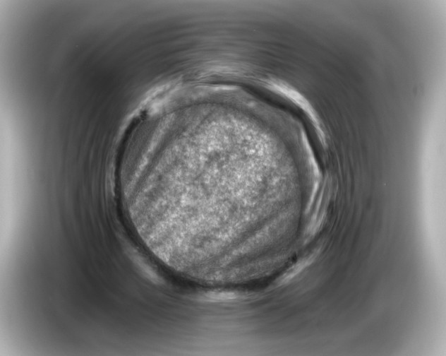 X0000085800581200704091450