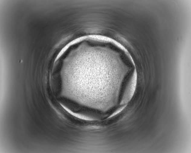 X0000085800586200704091450