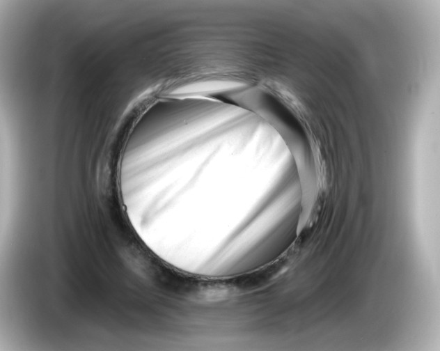 X0000085800587200704091450