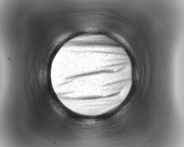 X0000085800588200704091450