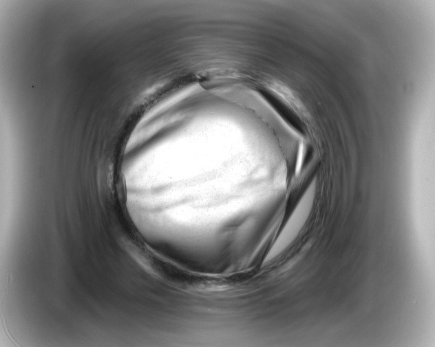 X0000085800589200704091450