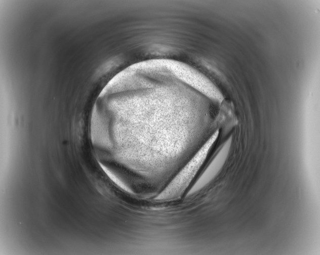 X0000085800591200704091450