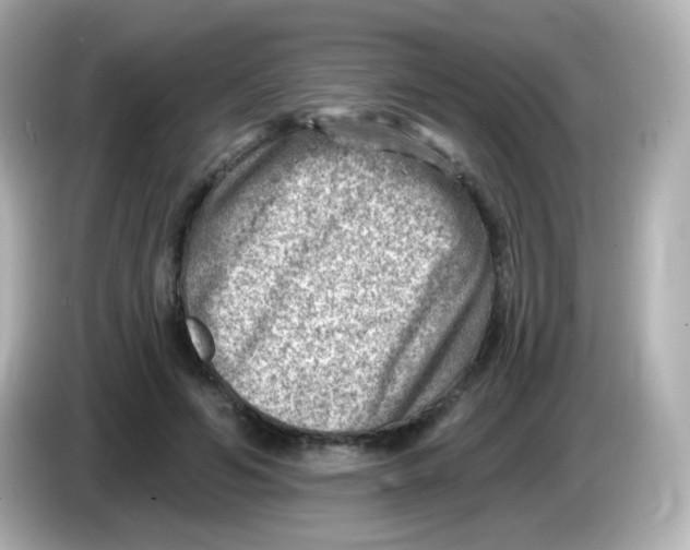 X0000085800594200704091450