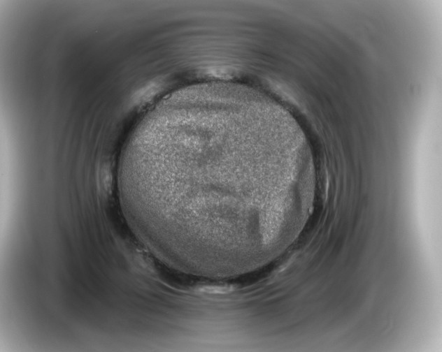 X0000085800595200704091450