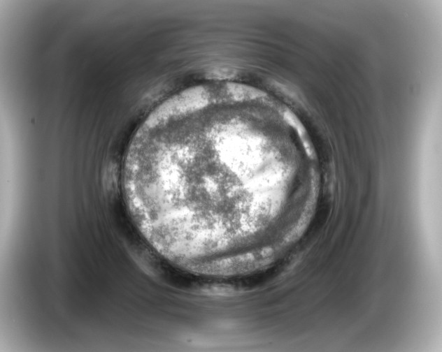 X0000085800598200704091450