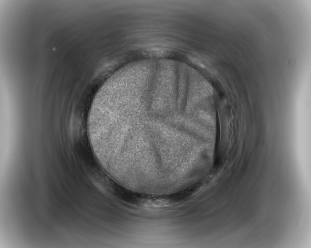 X0000085800599200704091450