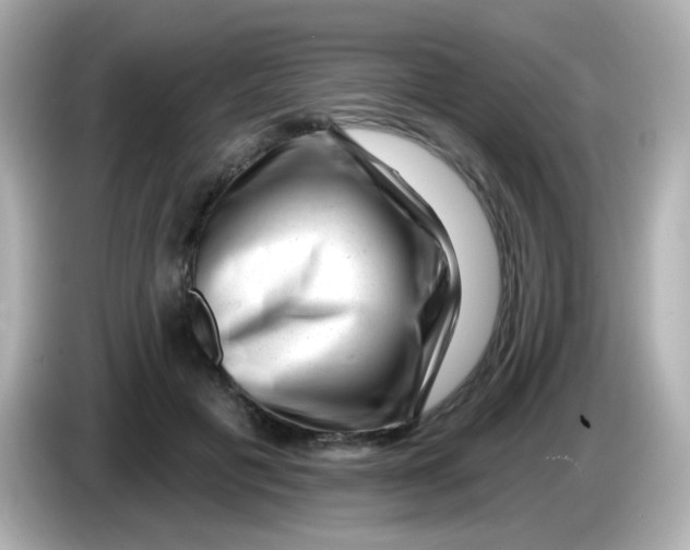 X0000085800601200704091450