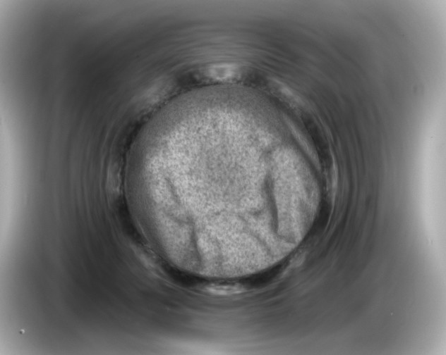 X0000085800606200704091450