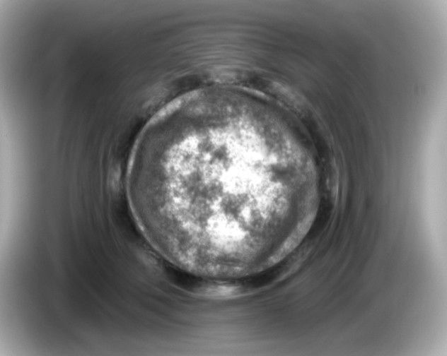 X0000085800610200704091450