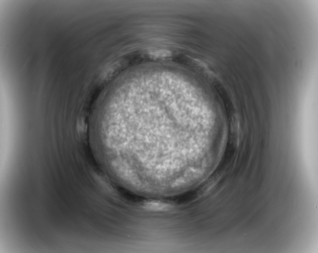 X0000085800614200704091450