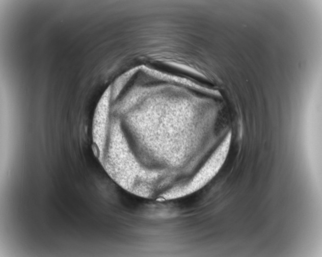 X0000085800615200704091450