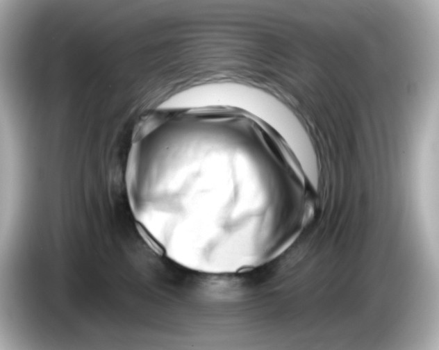 X0000085800617200704091450