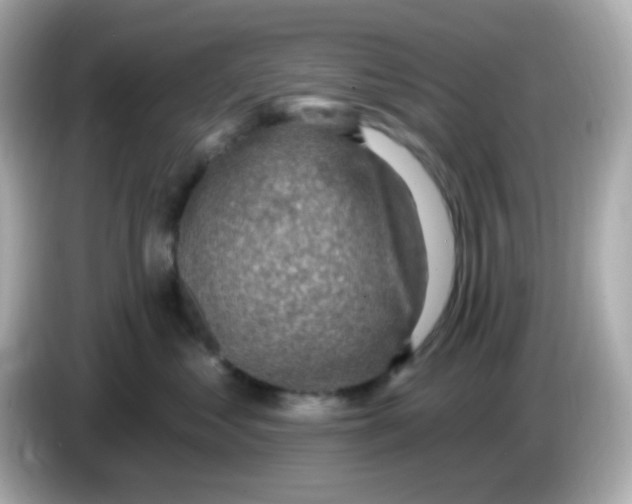 X0000085800621200704091450