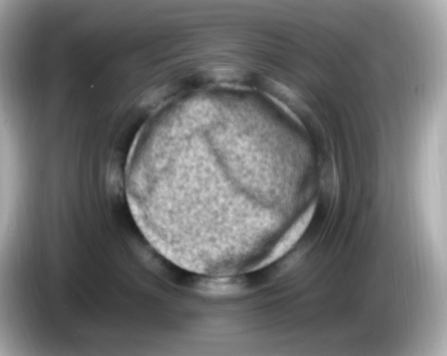 X0000085800622200704091450