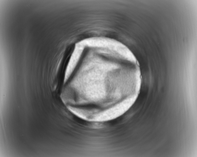 X0000085800623200704091450