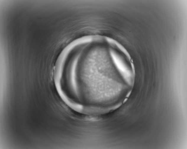 X0000085800624200704091450