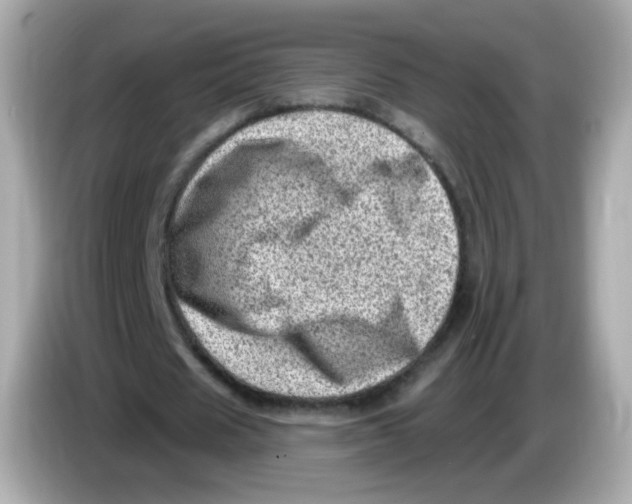 X0000085800625200704091449