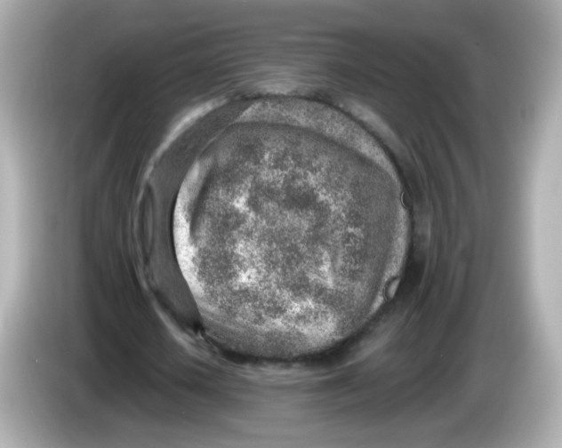 X0000085800626200704091449