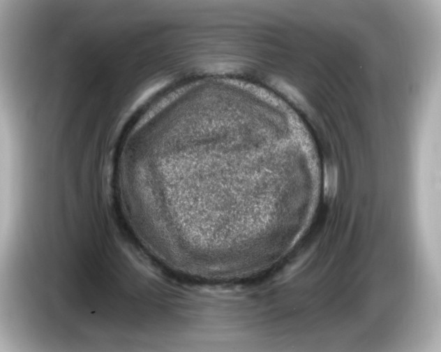 X0000085800627200704091449