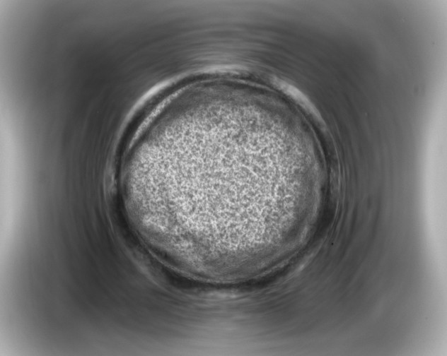 X0000085800628200704091449