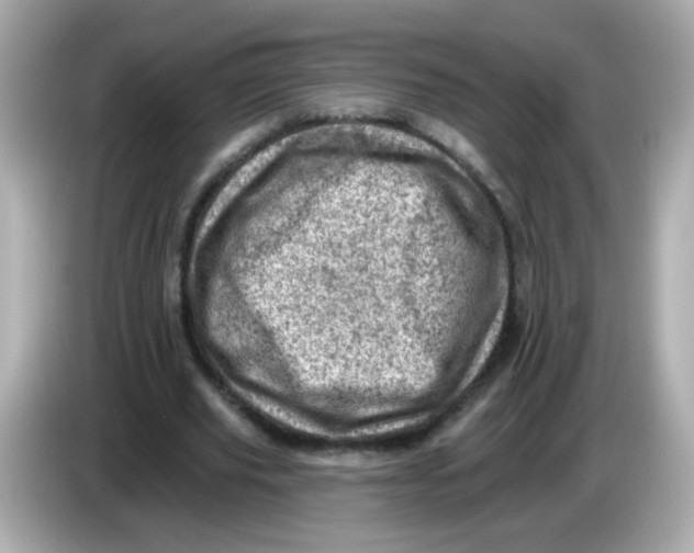 X0000085800629200704091449