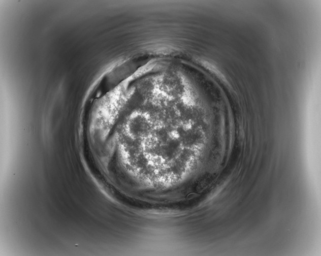 X0000085800630200704091449