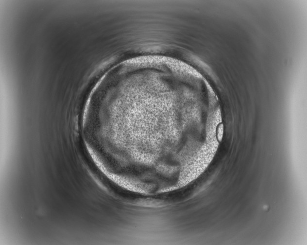 X0000085800633200704091449