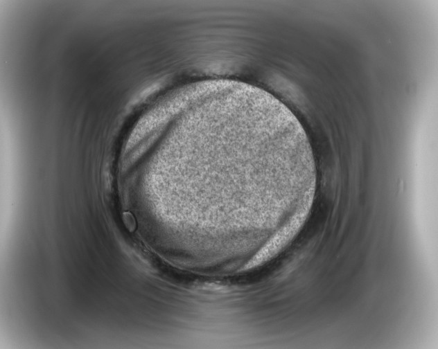 X0000085800635200704091449