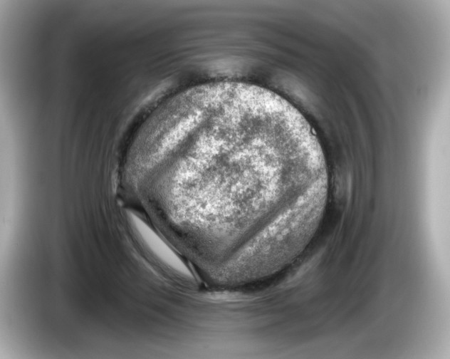 X0000085800637200704091449