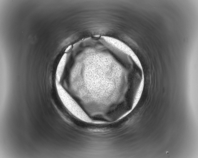 X0000085800638200704091449