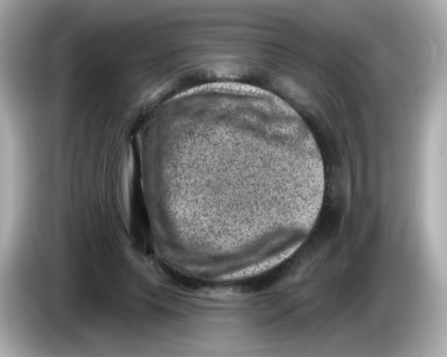 X0000085800639200704091449