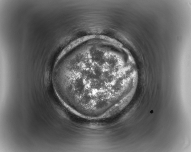 X0000085800641200704091449