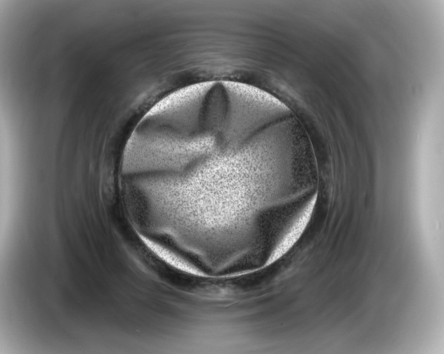 X0000085800642200704091449