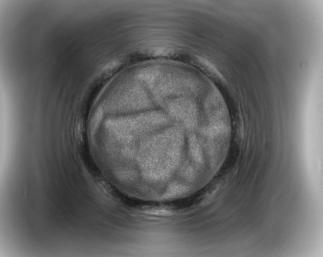 X0000085800643200704091449