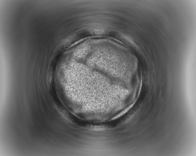 X0000085800645200704091449