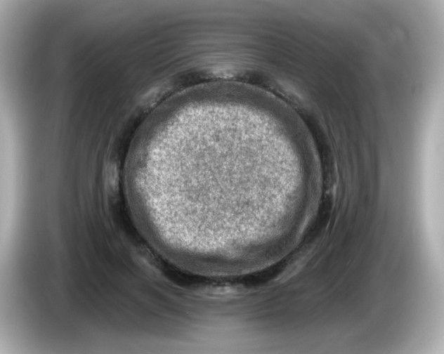 X0000085800646200704091449